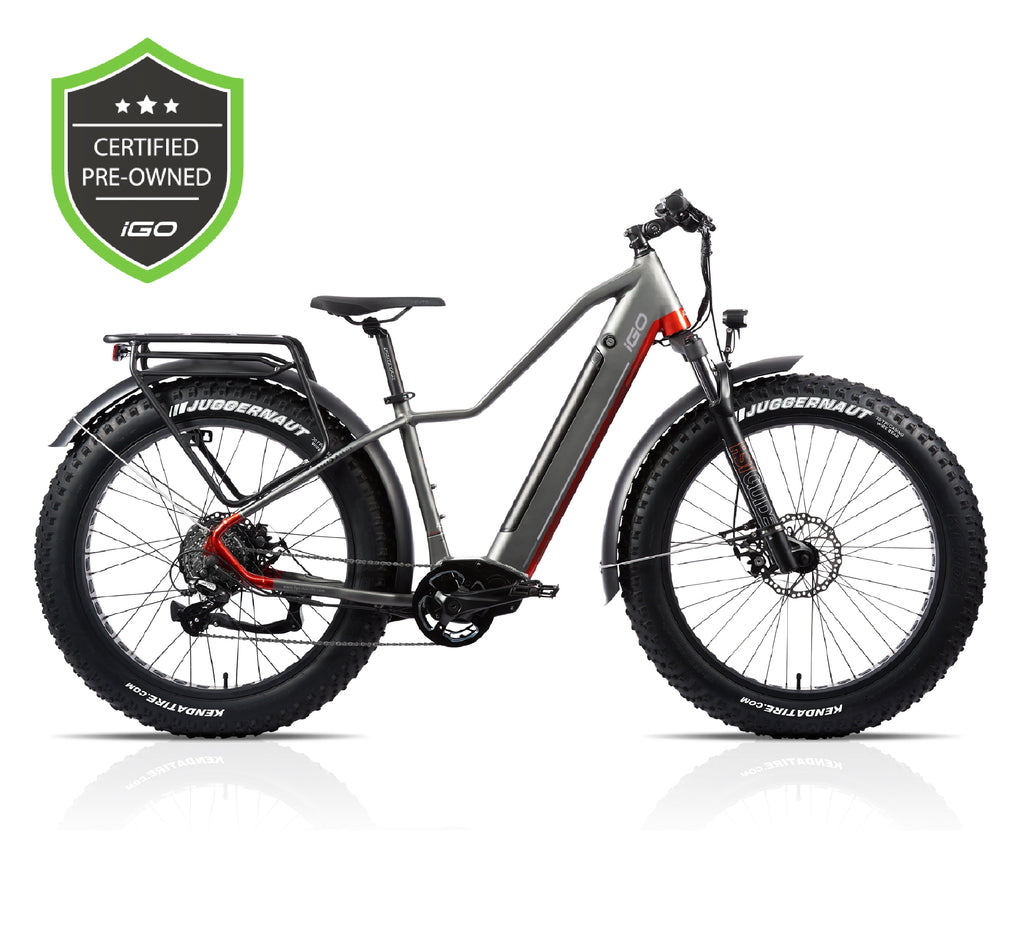 Extreme on sale electric bikes